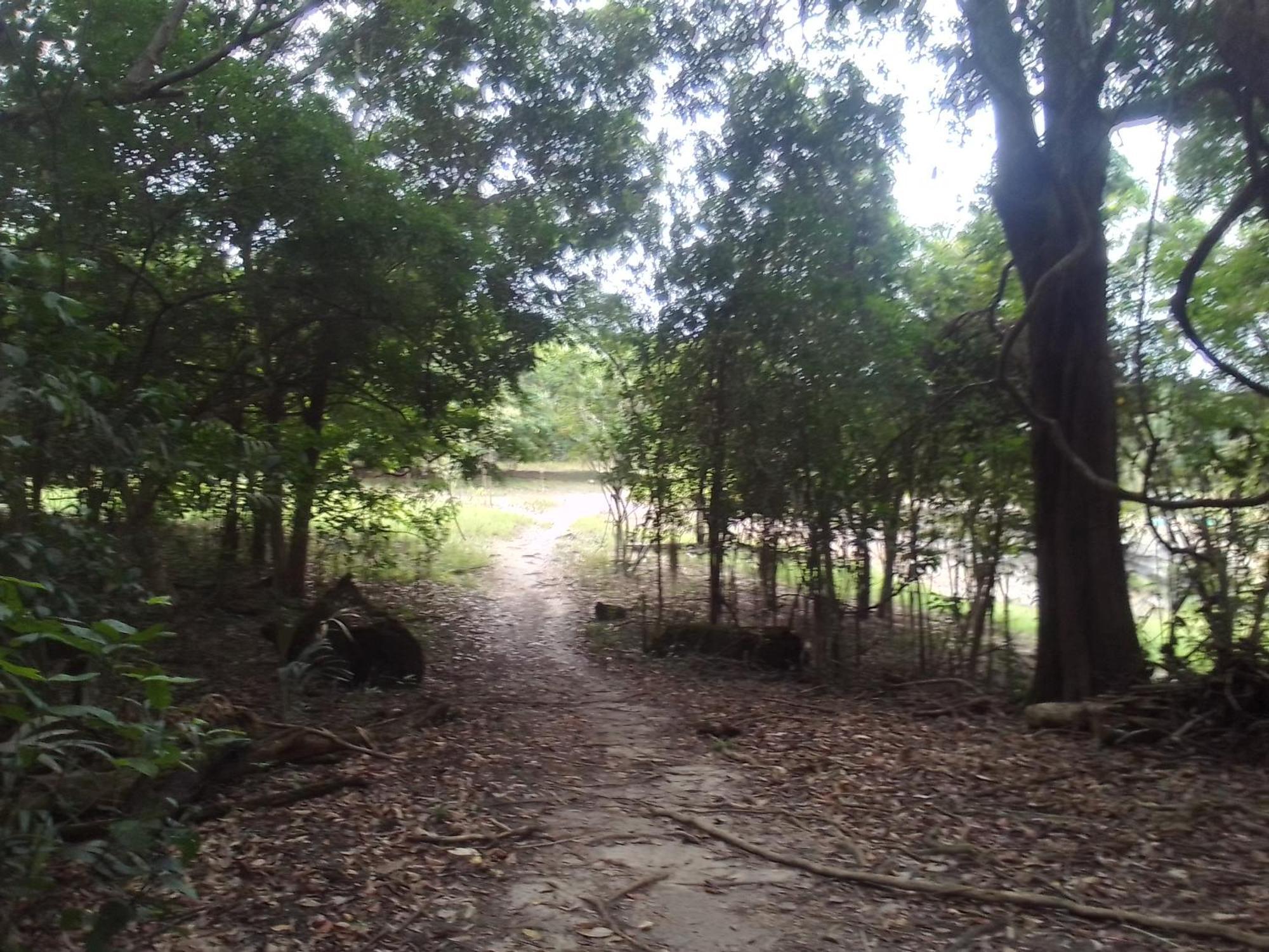 Em Ribeirinha Campingplatz